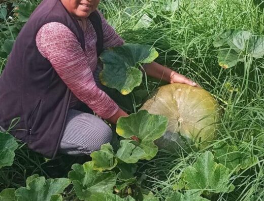 FERIA AGROECOLOGICA DE LA MATA A LA OLLA