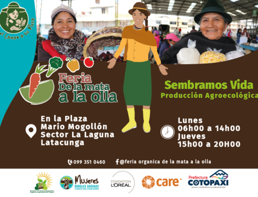 FERIA AGROECOLOGICA DE LA MATA A LA OLLA