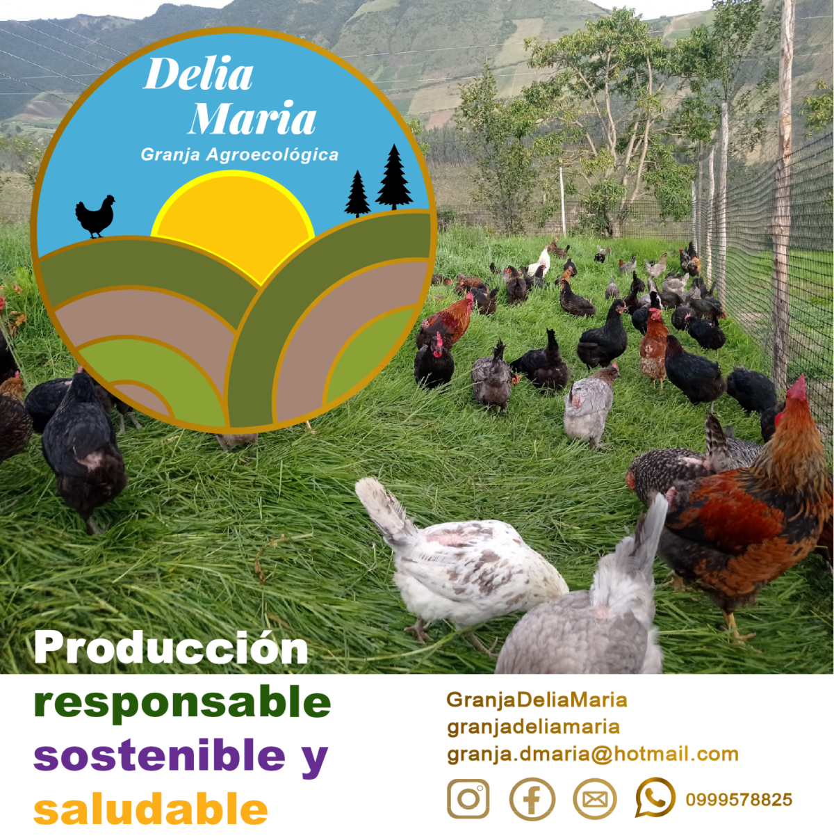 Donde comprar orgánico Donde comprar sano Busco agroecológico Busco orgánico.com