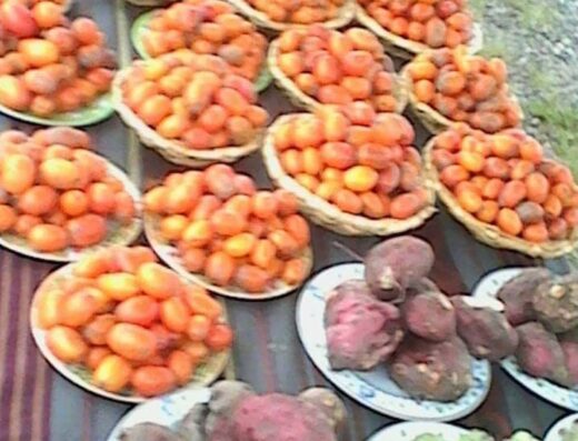 Parcela Agroecológica El Laurel