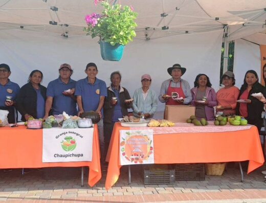 Donde comprar orgánico Donde comprar sano Busco agroecológico Busco orgánico.com