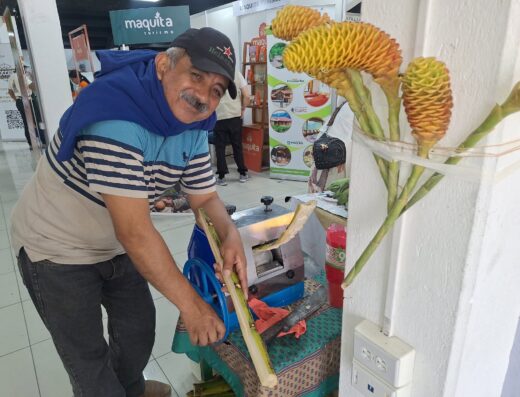 Donde comprar orgánico Donde comprar sano Busco agroecológico Busco orgánico.com