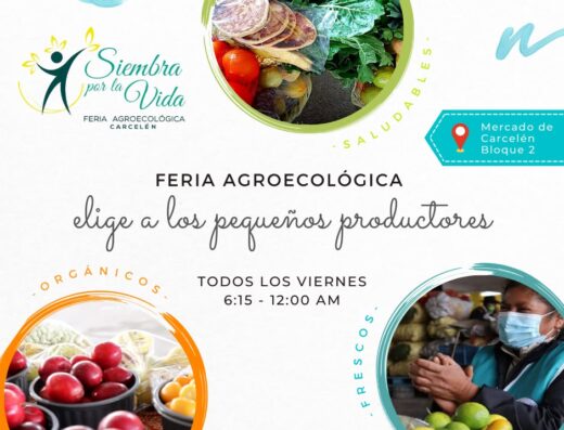 Donde comprar orgánico Donde comprar sano Busco agroecológico Busco orgánico.com