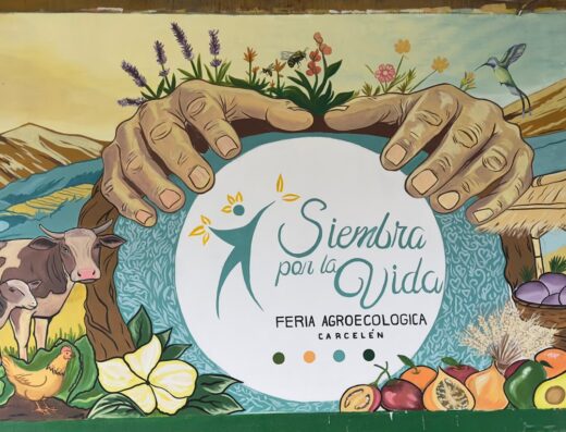 Siembra por la Vida Feria Agroecológica Carcelén