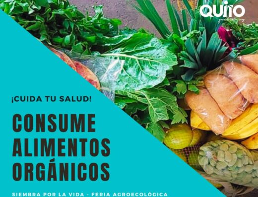 BUSCO AGROECOLÓGICO