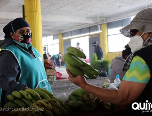 Donde comprar orgánico Donde comprar sano Busco agroecológico Busco orgánico.com