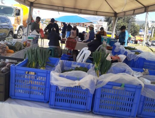 Donde comprar orgánico Donde comprar sano Busco agroecológico Busco orgánico.com