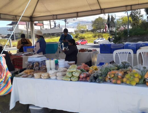 Donde comprar orgánico Donde comprar sano Busco agroecológico Busco orgánico.com