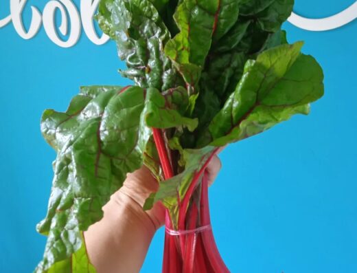 Kay Pacha comida vegana