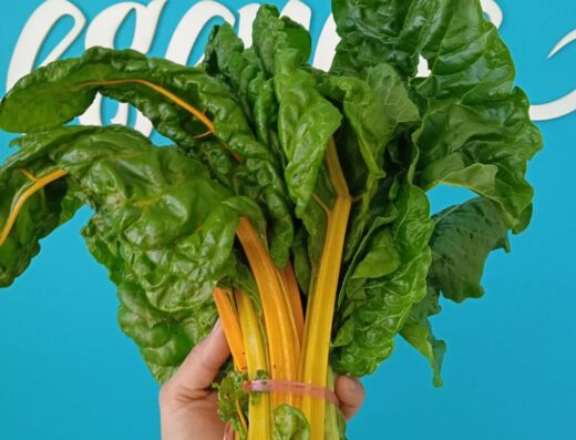 Kay Pacha comida vegana