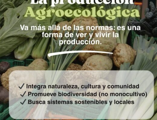 Donde comprar orgánico Donde comprar sano Busco agroecológico Busco orgánico.com