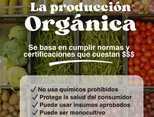 Donde comprar orgánico Donde comprar sano Busco agroecológico Busco orgánico.com
