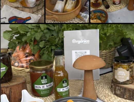 Donde comprar orgánico Donde comprar sano Busco agroecológico Busco orgánico.com